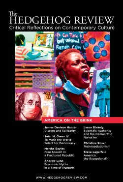 The Hedgehog Review: America on the Brink (Vol 22, Number 3)