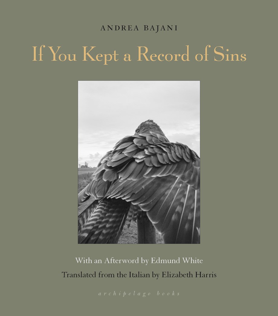 If You Kept a Record of Sins (Paperback)