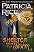 Shelter from the Storm by Patricia Rice