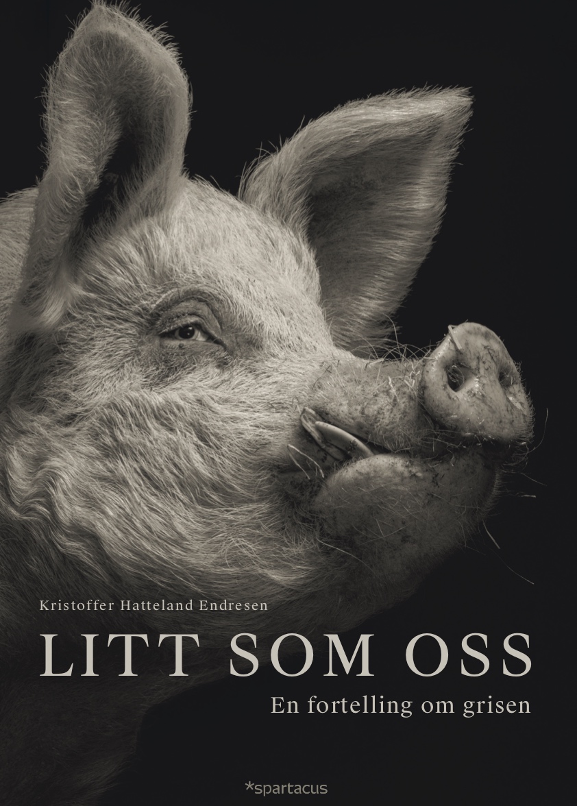 Litt som oss. En fortelling om grisen (Hardcover)
