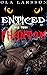 Enticed By The Phantom