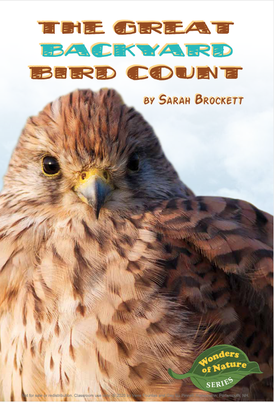 The Great Backyard Bird Count