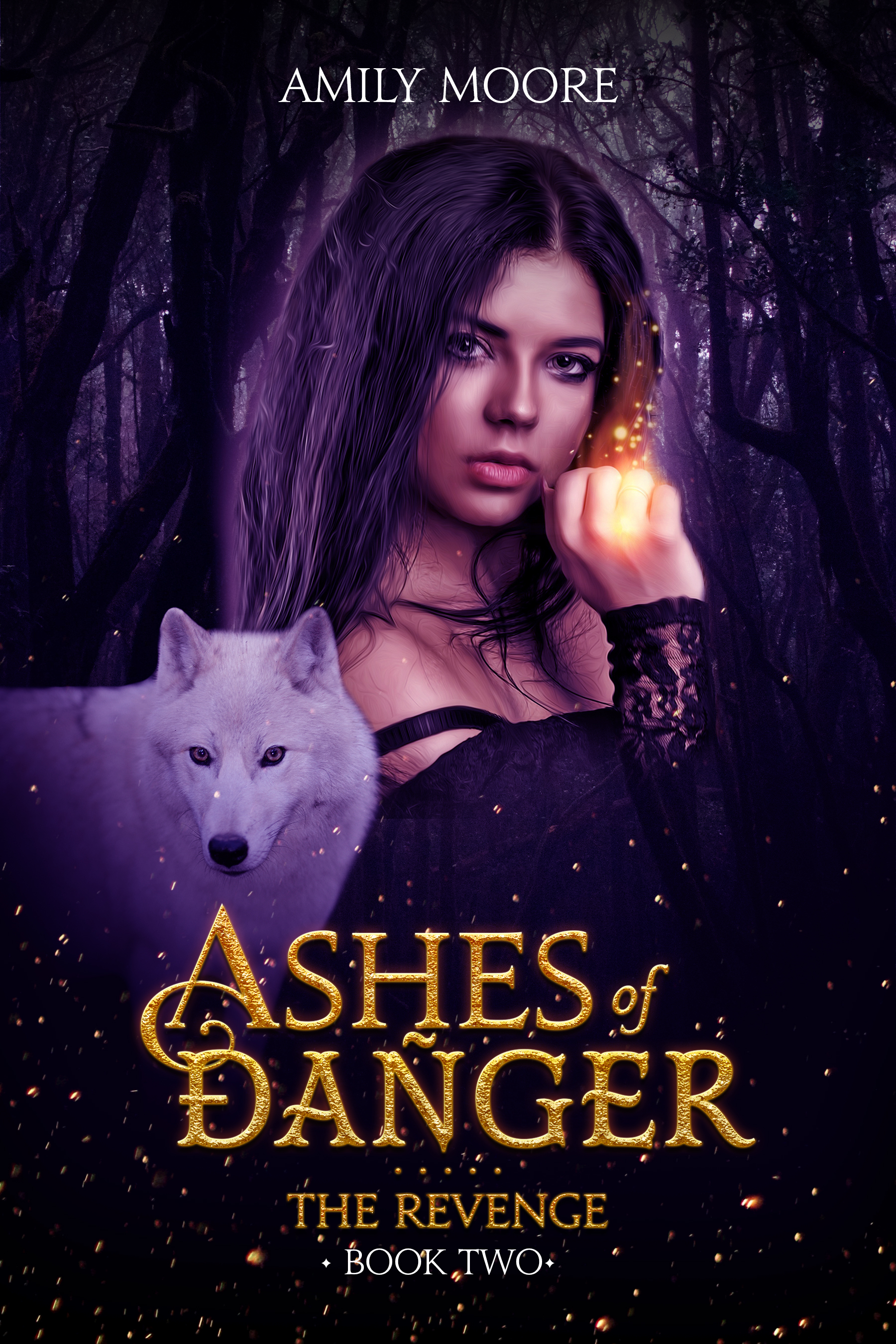 Ashes of Danger-The Revenge: Book 2