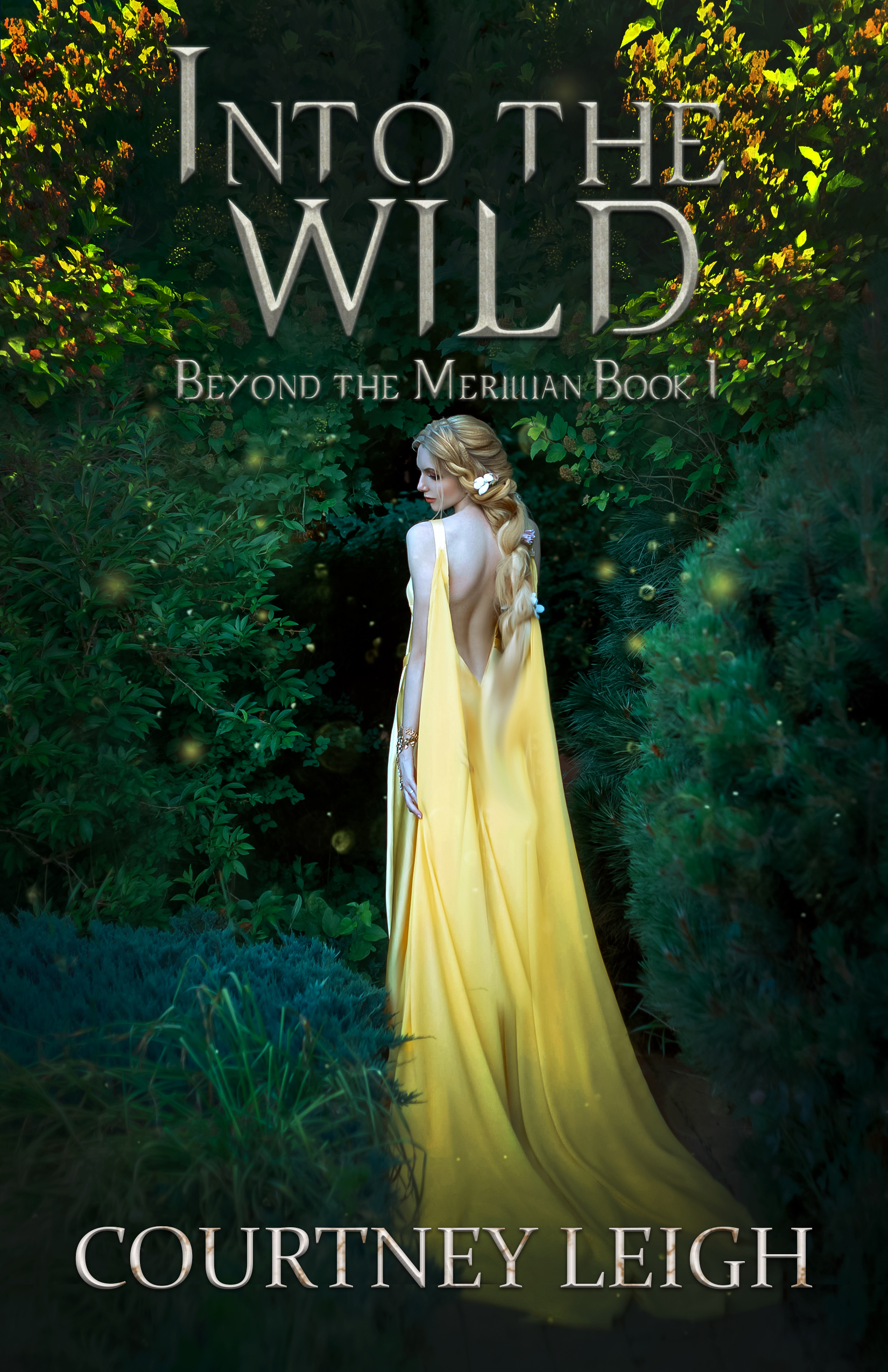 Into the Wild (Beyond the Merillian, #1)