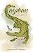 Cayman Island by Jennifer Brasington-Crowley