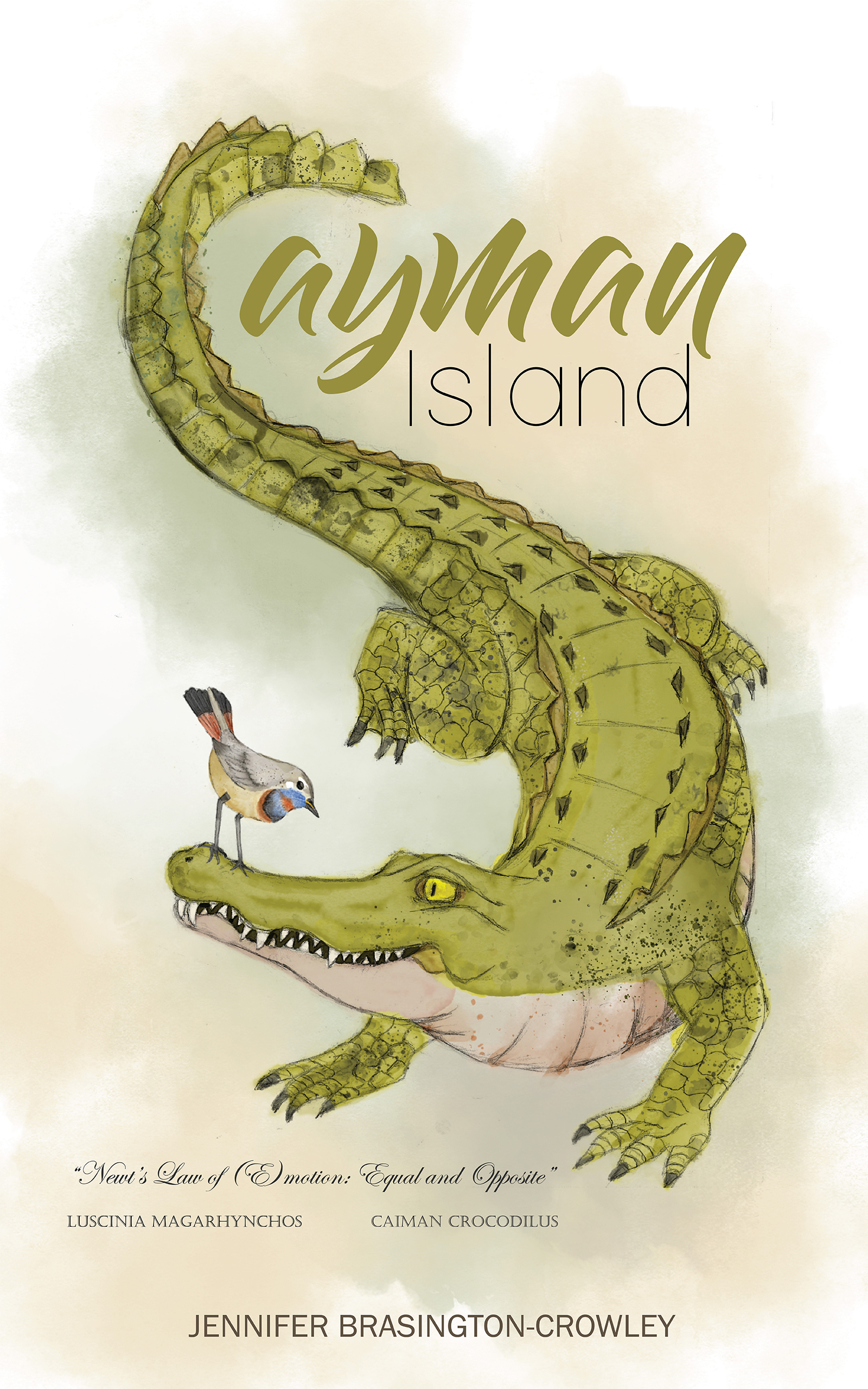 Cayman Island (Stillwaters)