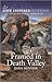 Framed in Death Valley (Des...