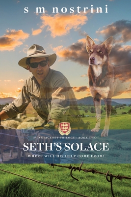 Seth's Solace (Paperback)