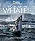 Secrets of the Whales by Brian Skerry