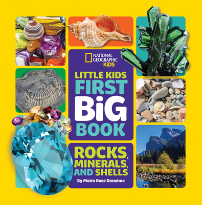 Little Kids First Big Book of Rocks, Minerals & Shells (Hardcover)