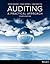 Auditing by Robyn Moroney