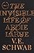 The Invisible Life of Addie Larue