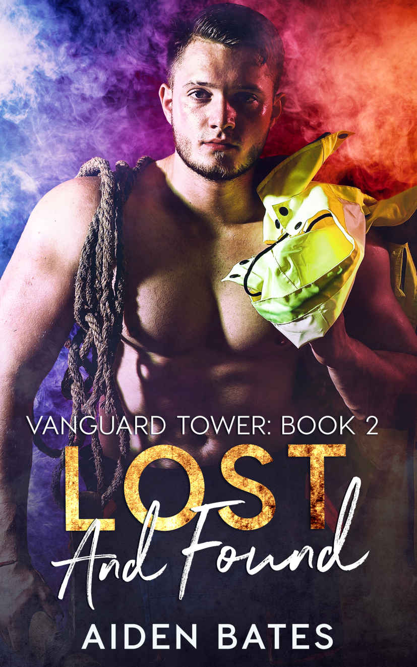 Lost And Found (Vanguard Towers #2)