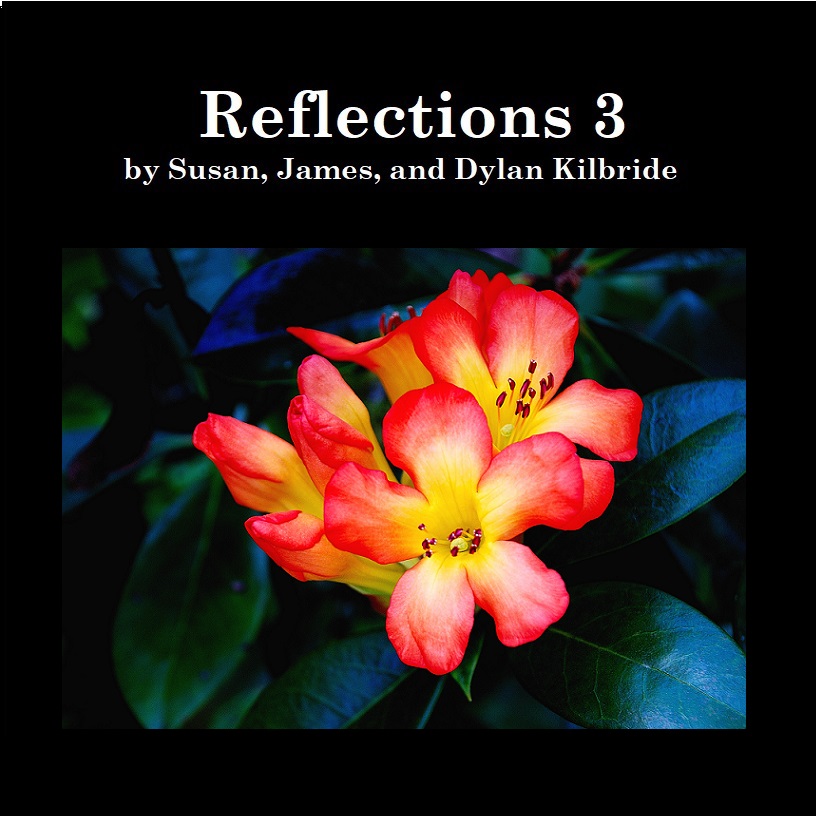 Reflections 3