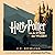 Harry Potter en de Steen der Wijzen by J.K. Rowling