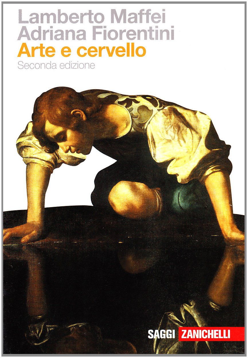 Arte e cervello (Paperback)