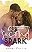 A Second Spark (The Waite B...