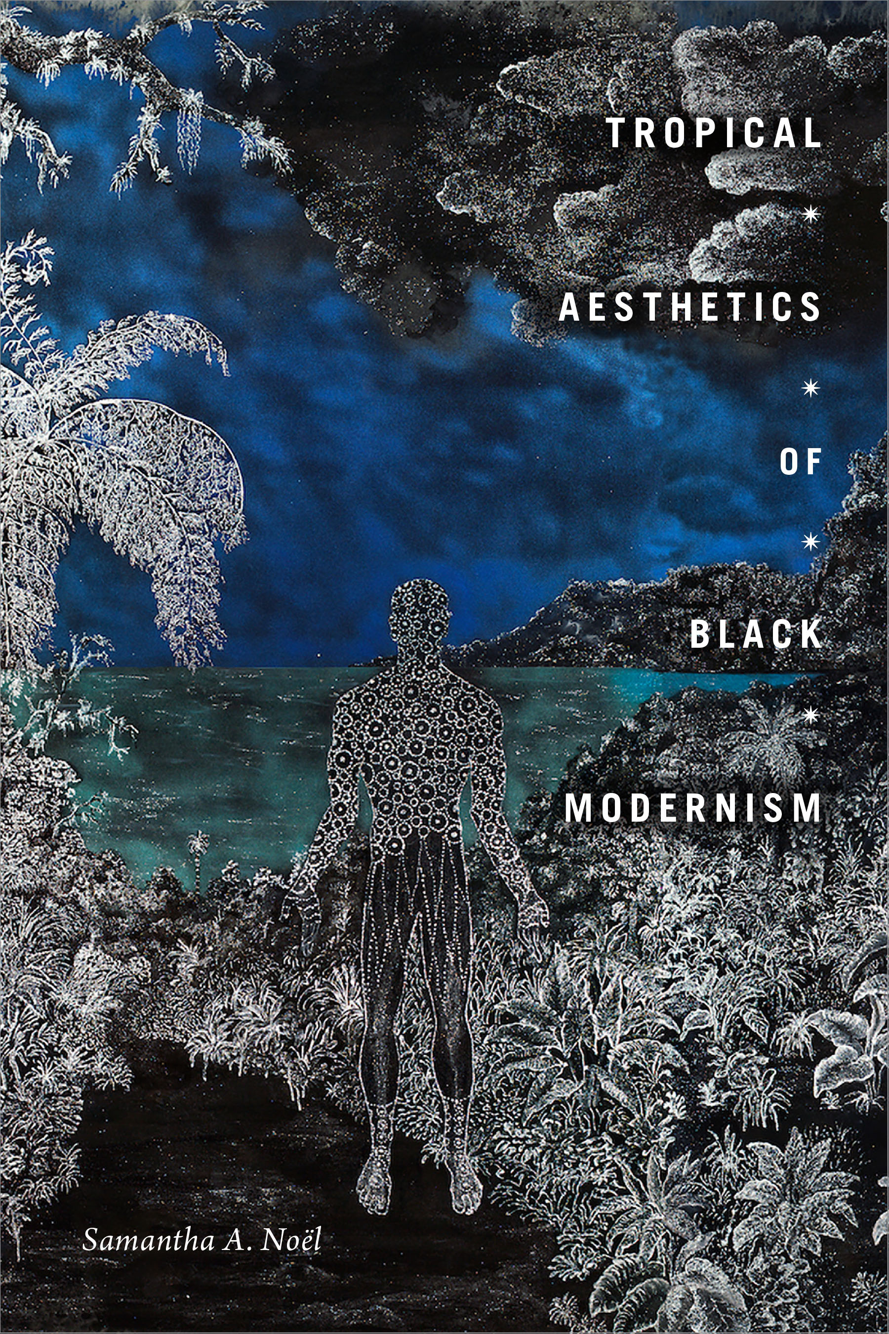 Tropical Aesthetics of Black Modernism (The Visual Arts of Africa and its Diasporas)