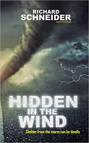 Hidden in the Wind