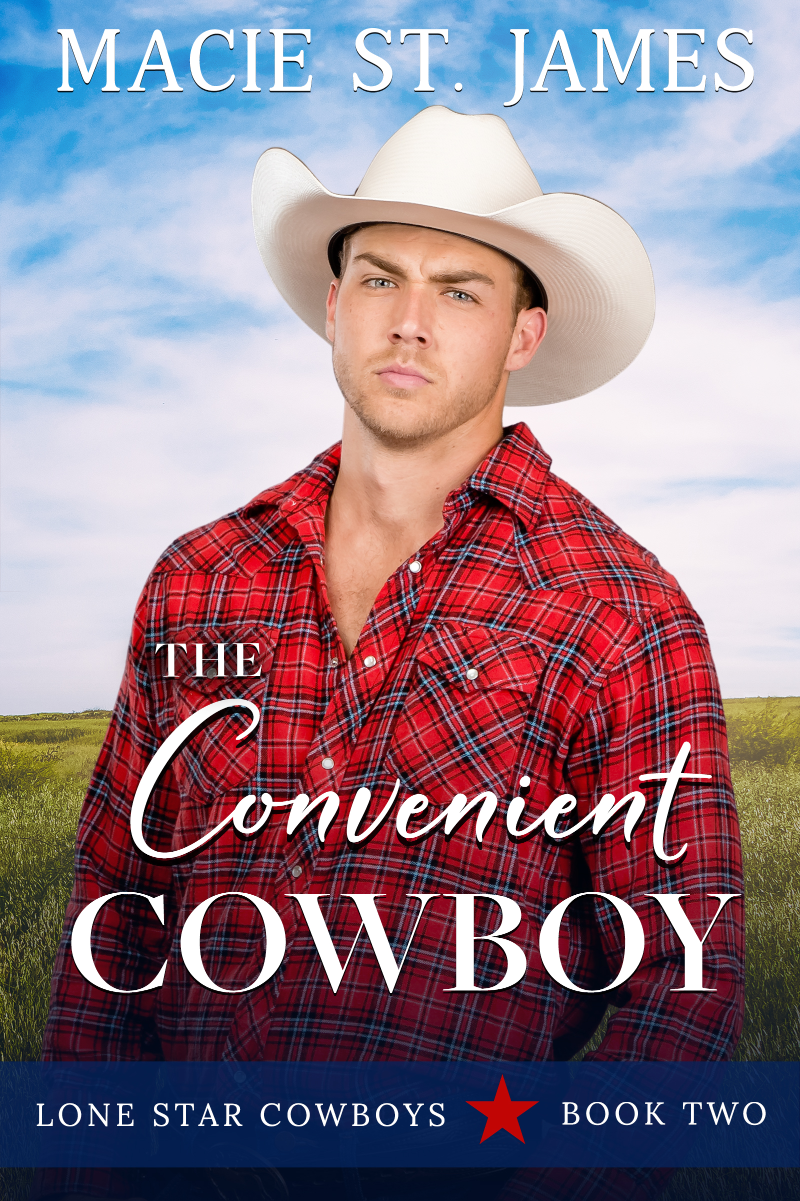 The Convenient Cowboy (Lone Star Cowboys #2)