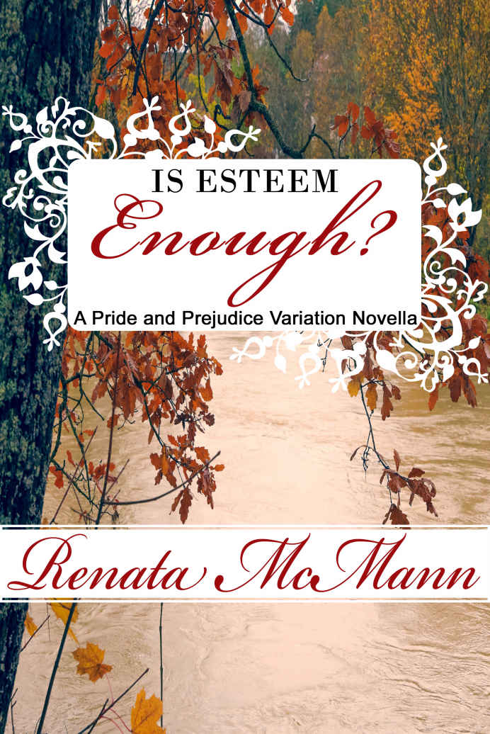 Is Esteem Enough? : A Pride and Prejudice Variation Novella (Kindle Edition)
