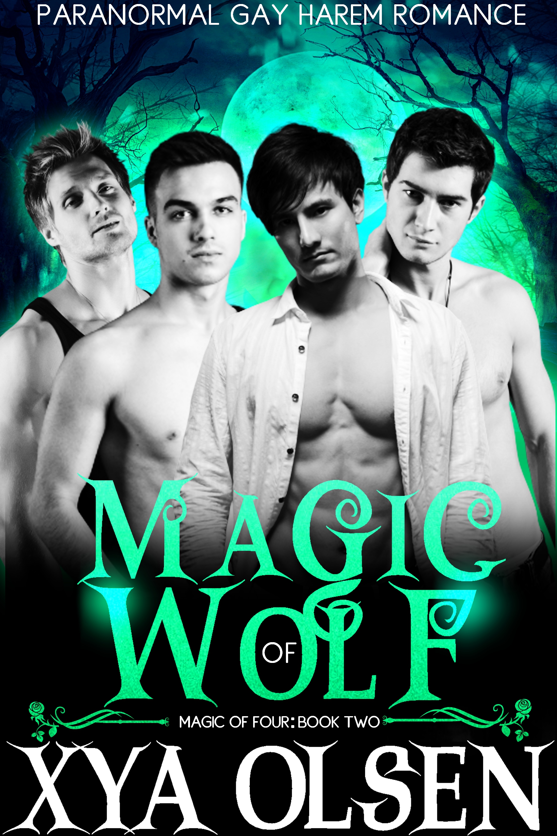 Magic of Wolf (Magic of Four #2)