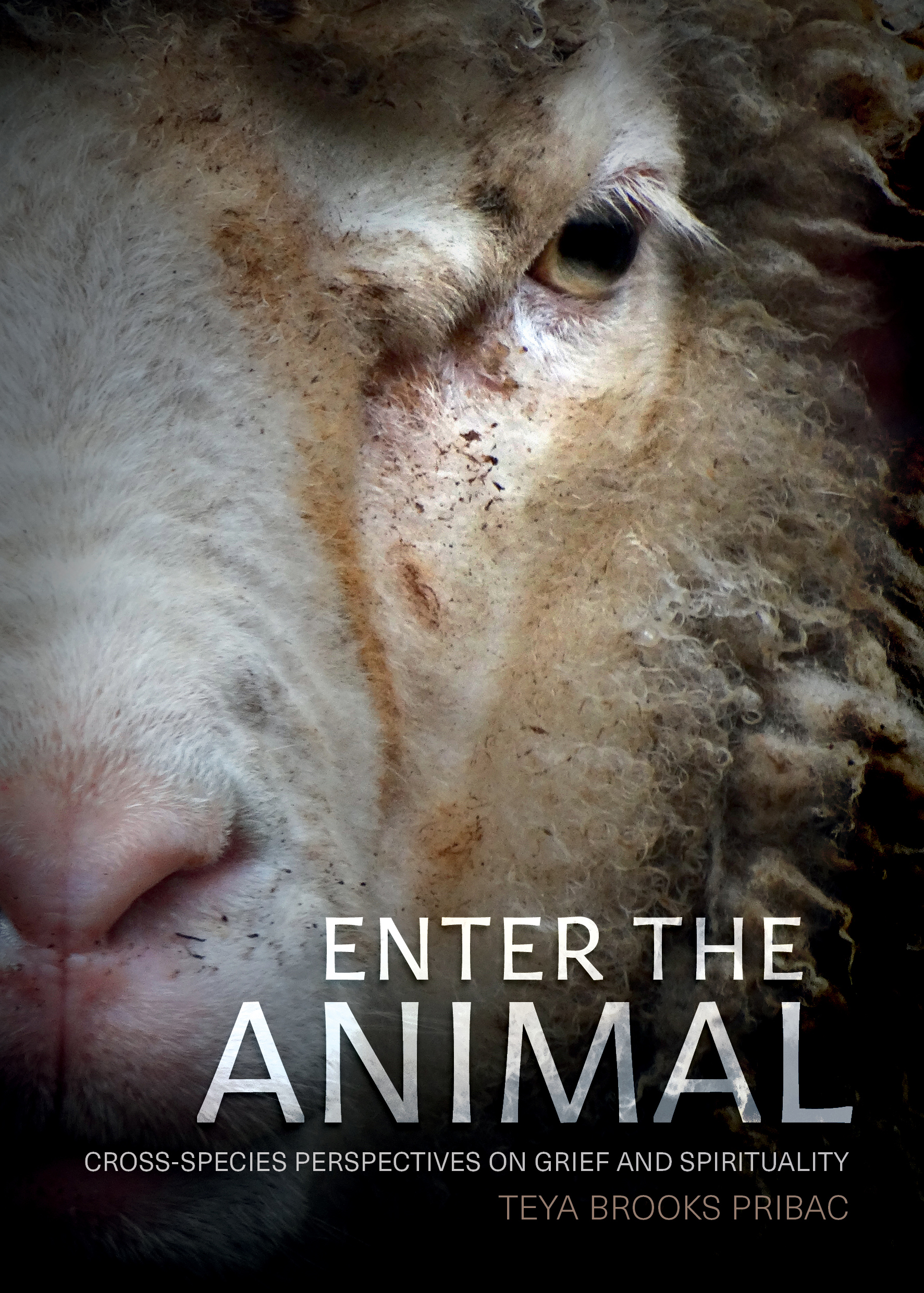 Enter the Animal: Cross-species perspectives on grief and spirituality (Paperback)