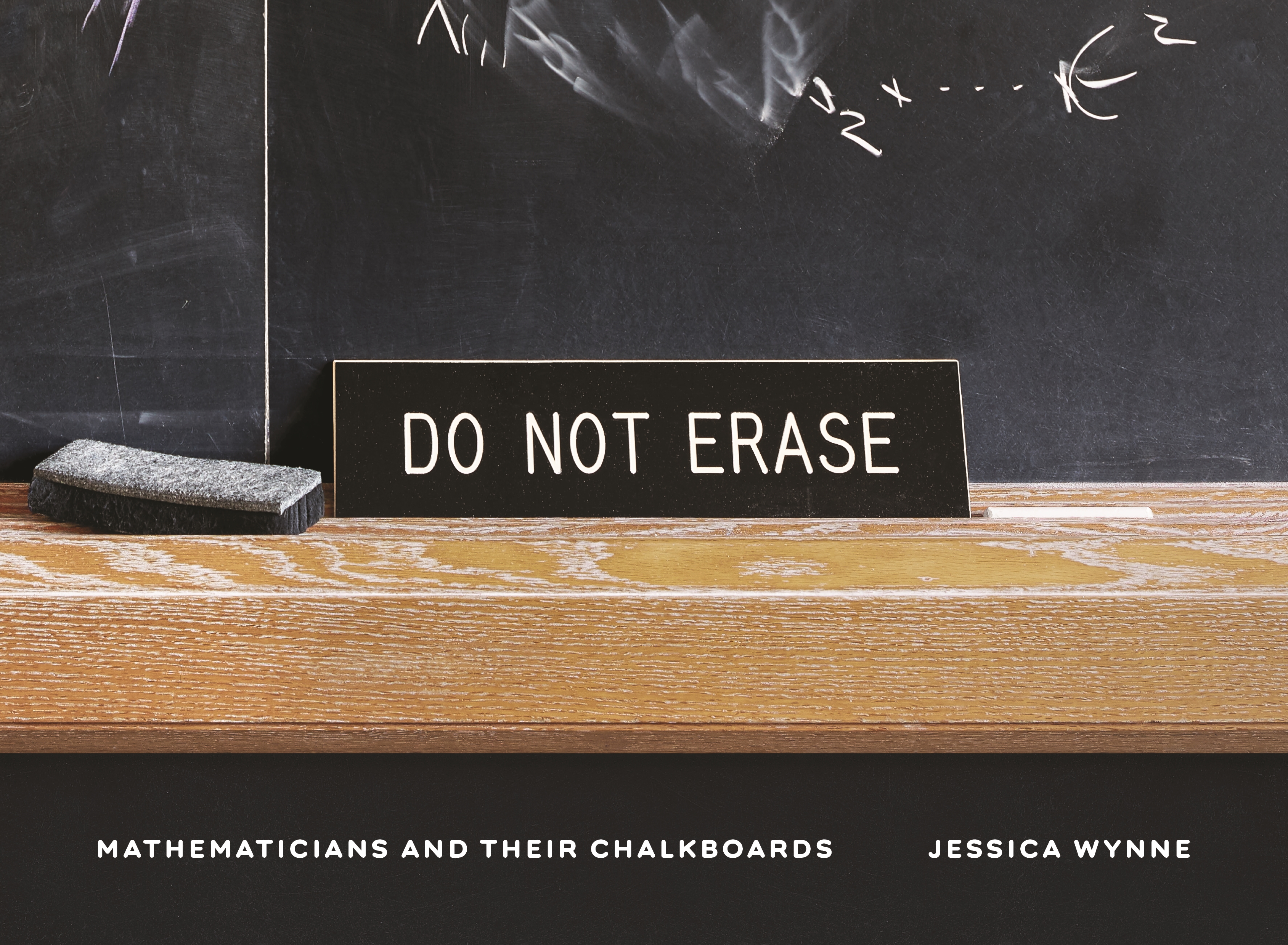 Do Not Erase: Mathematicians and Their Chalkboards (Hardcover)