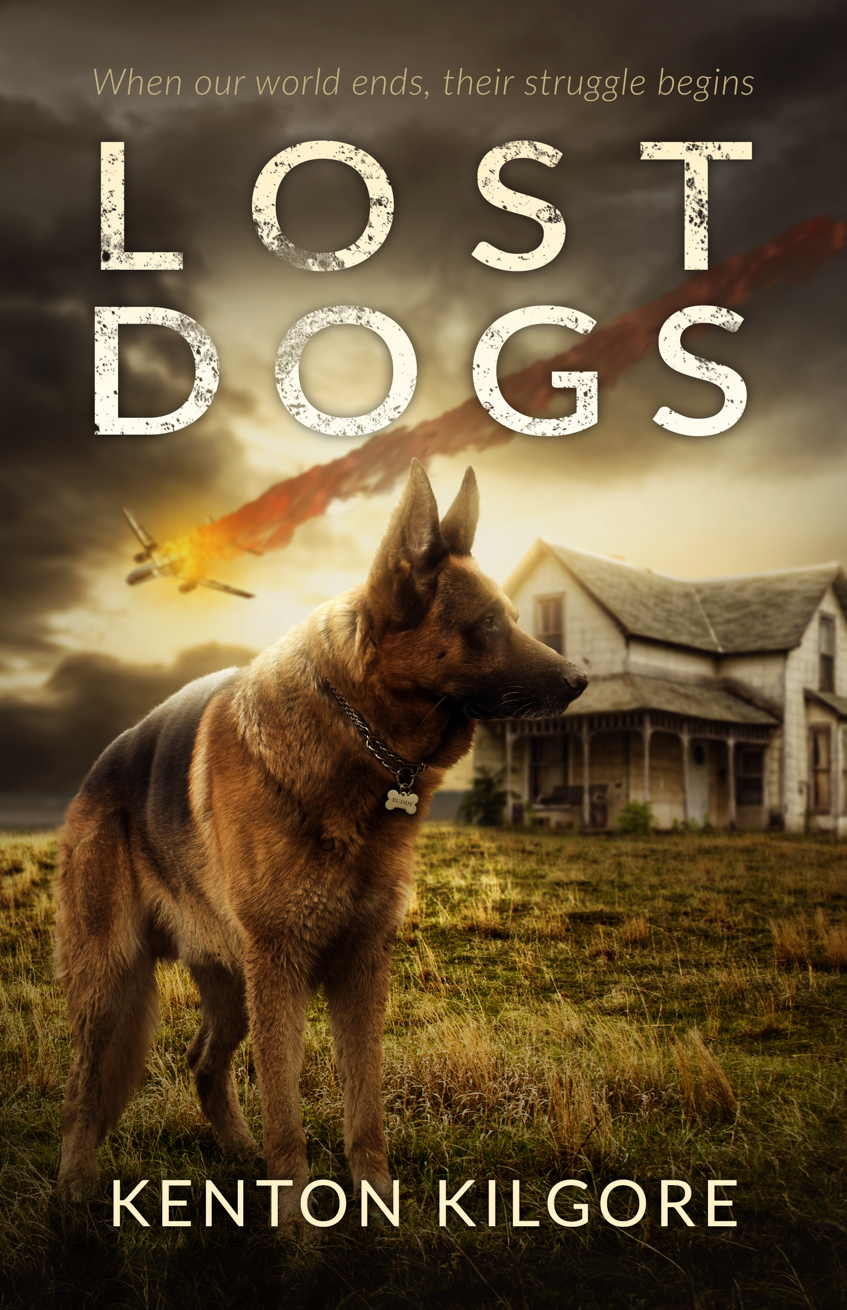Lost Dogs (Kindle Edition)