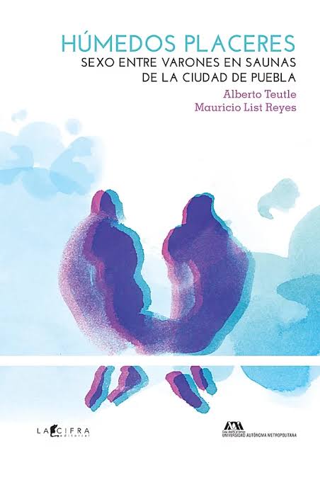 Húmedos Placeres. Sexo entre varones en saunas de la ciudad de Puebla. (Paperback)