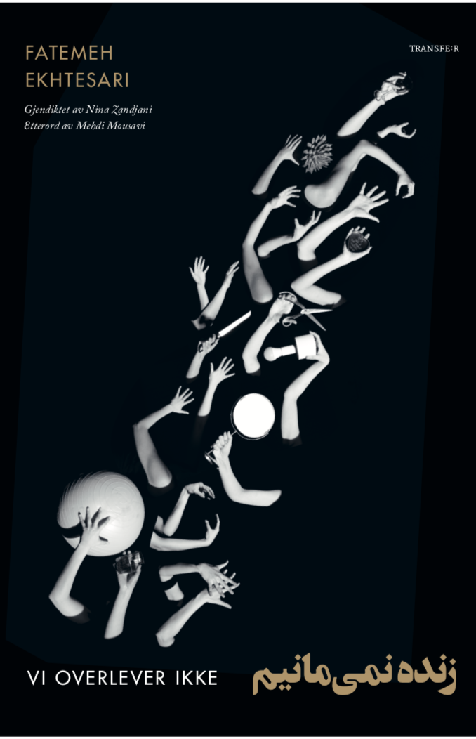 Vi overlever ikke (Paperback)