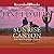 Sunrise Canyon (New Americana, #1)