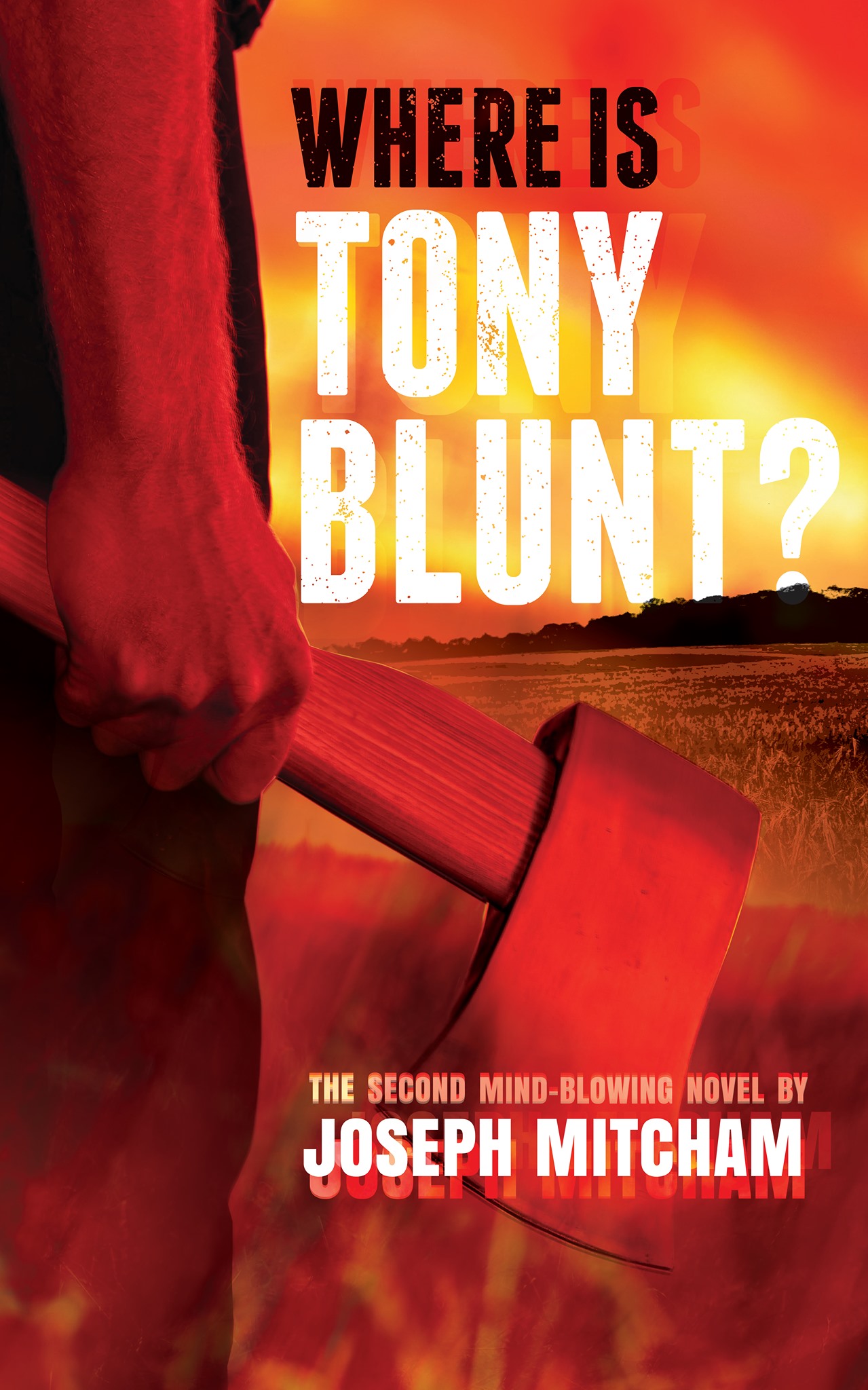 Where is Tony Blunt? (Atrocities #2)