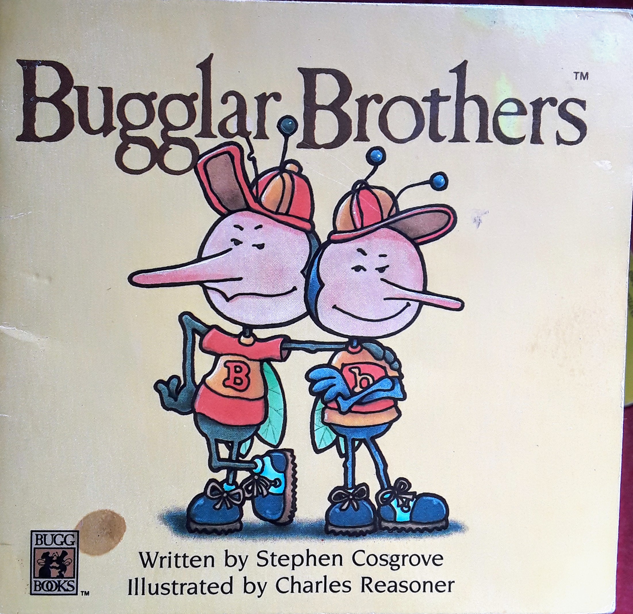 Bugglar Brothers (Bugg Books)