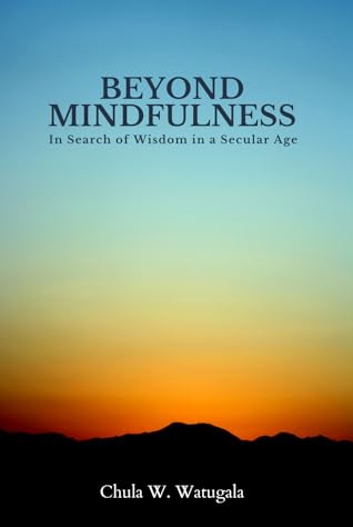 Beyond Mindfulness: In Search of Wisdom in a Secular Age