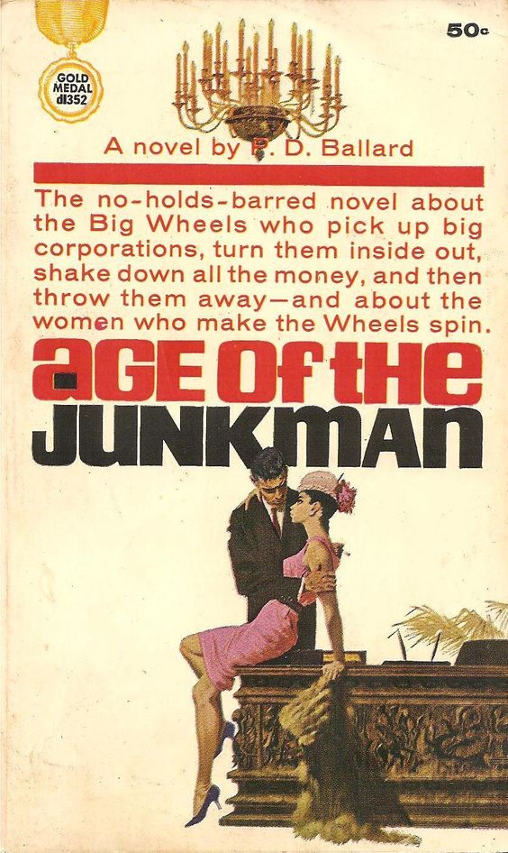 Age Of The Junkman (Paperback)
