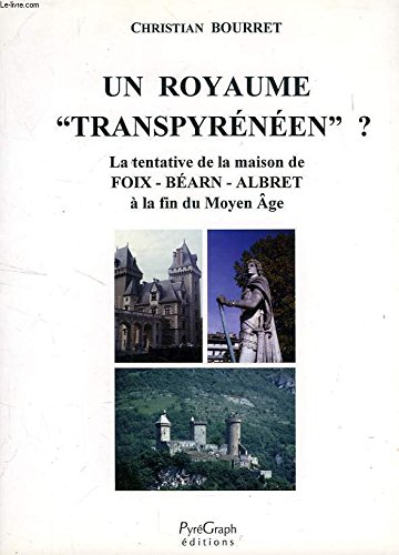 Un royaume "transpyrénéen" ? La tentative de la maison de Foix-Béarn-Albret à la fin du Moyen Age (Paperback)