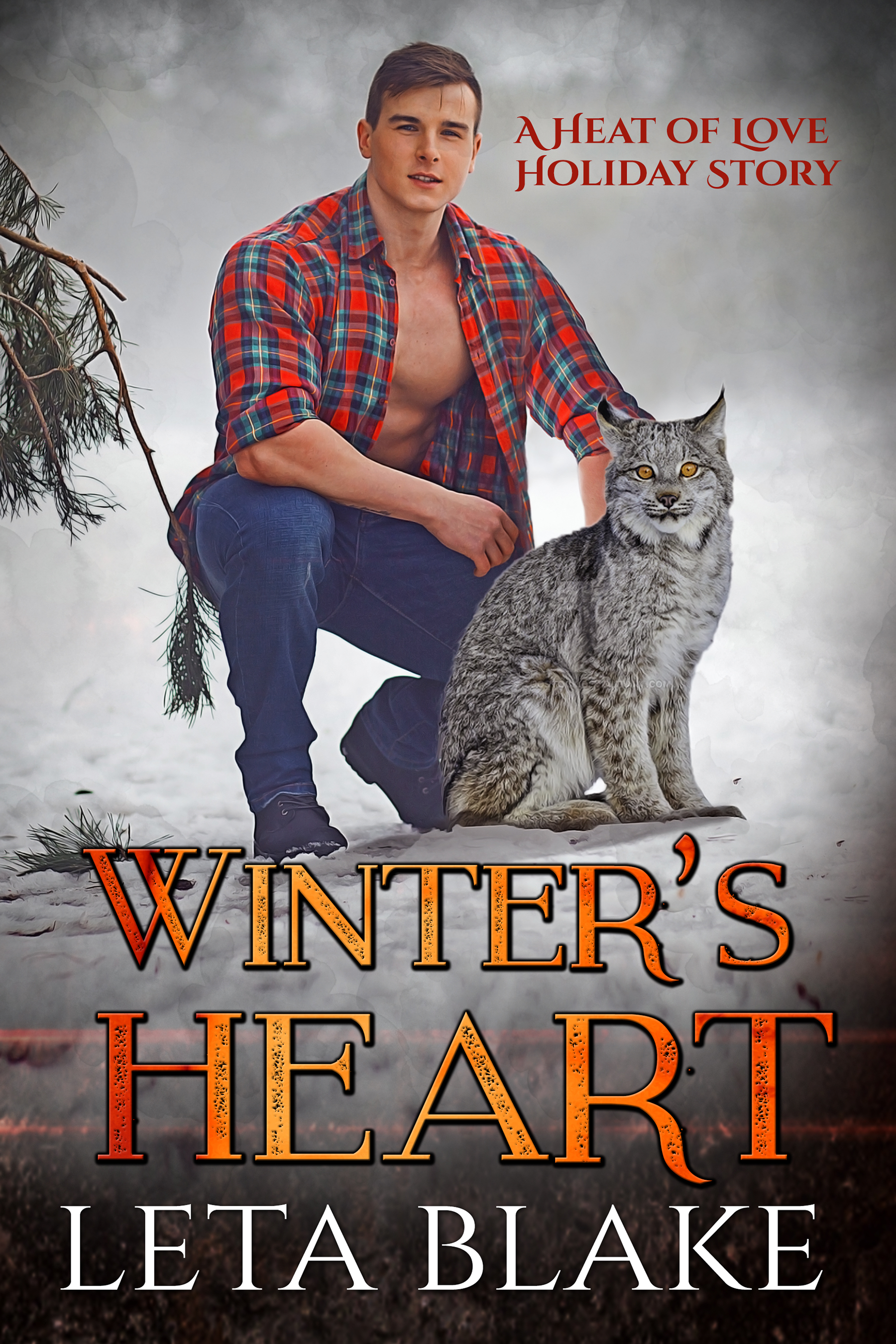 Winter's Heart (Heat of Love, #3.5)