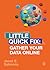 Gather Your Data Online: Little Quick Fix