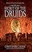 The Secret of the Druids (The Mahabharata Quest, 2)