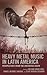 Heavy Metal Music in Latin America by Nelson Varas-Diaz