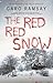 Red, Red Snow (An Anderson & Costello Mystery, 11)