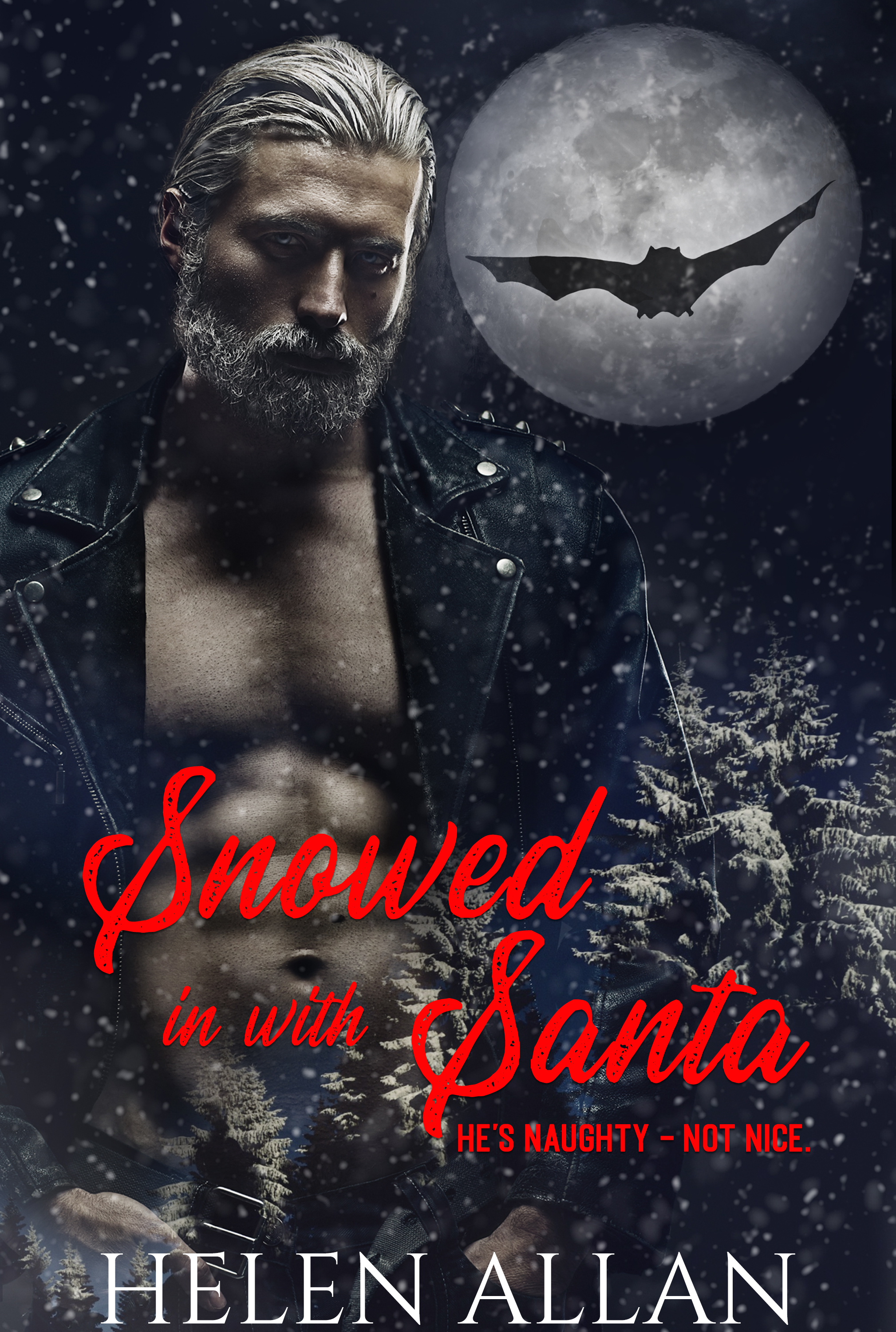Snowed in With Santa
