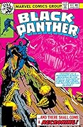 Black Panther #13