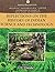 Reflections on the History of Indian Science and Technology (History of Indian Science and Technology)