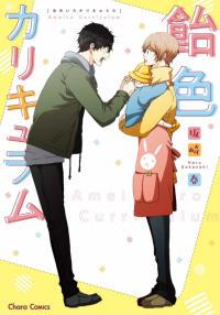 Ameiro Curriculum (Unknown Binding)