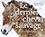 Le dernier cheval sauvage