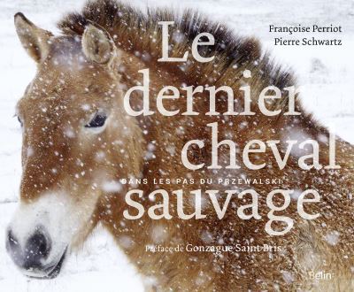 Le dernier cheval sauvage (Hardcover)