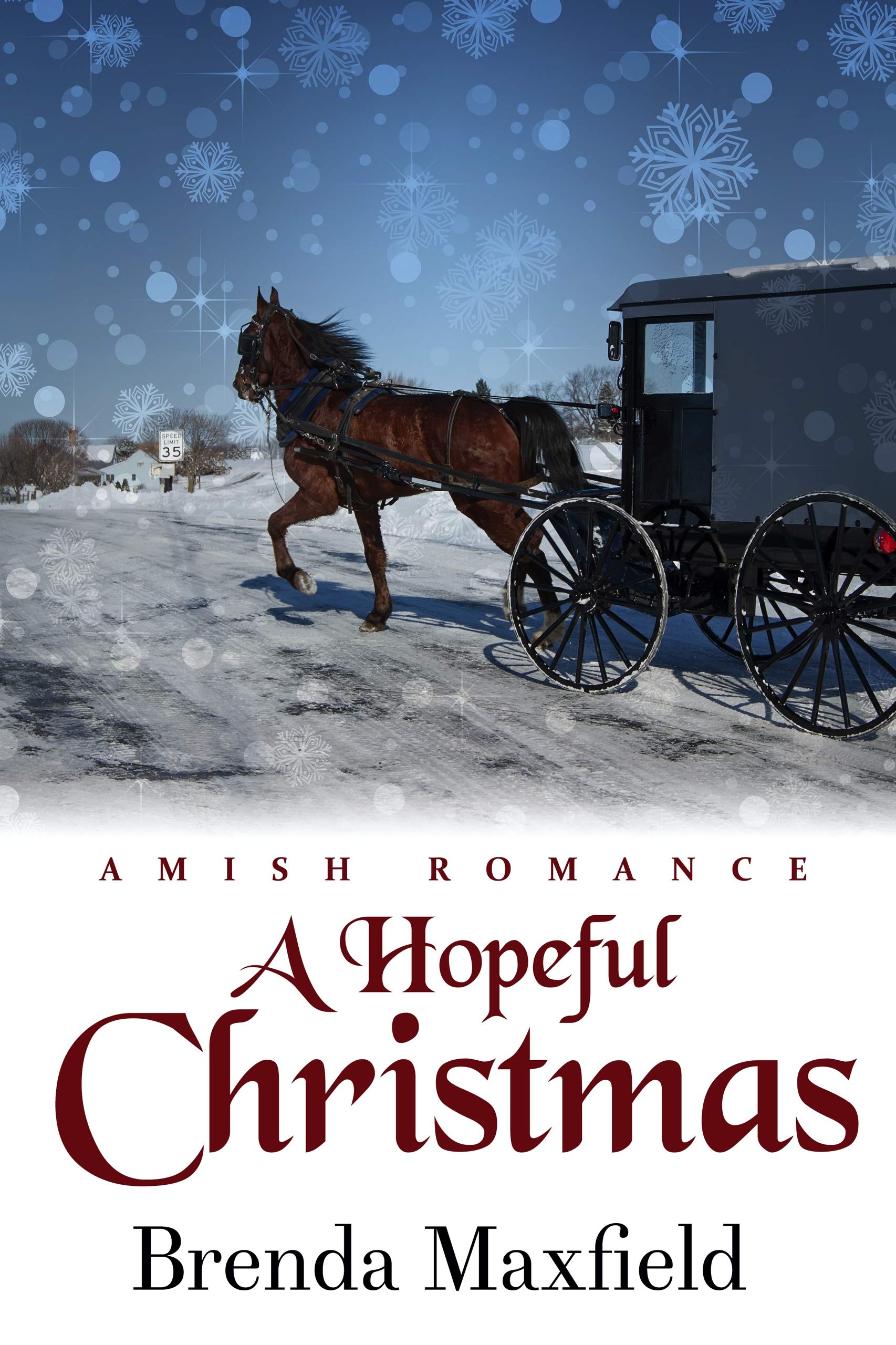 A Hopeful Christmas (Kindle Edition)