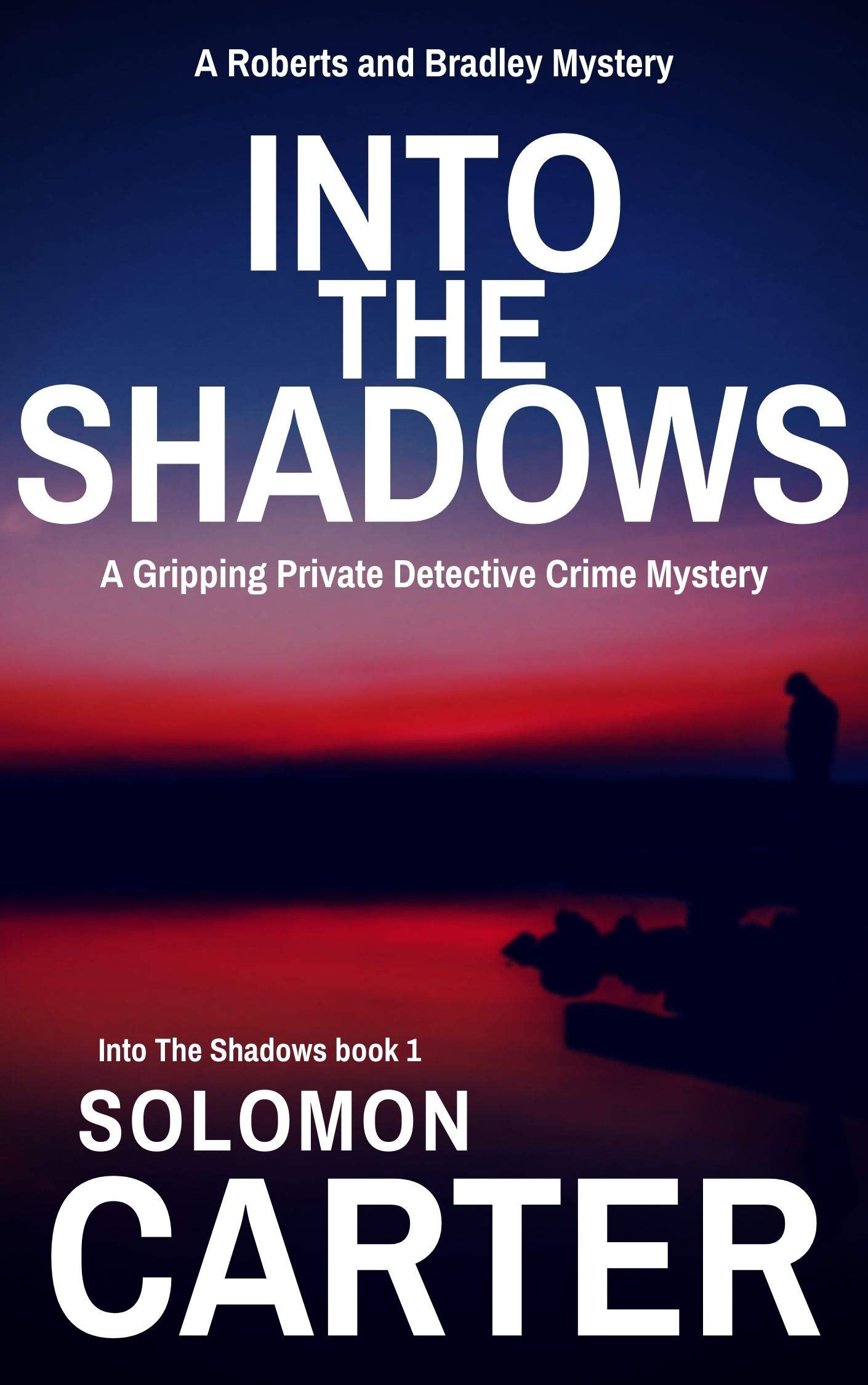 Into the Shadows (Roberts and Bradley: Into The Shadows #1)